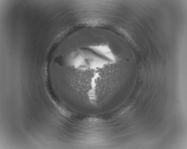 X0000071960590200607212254