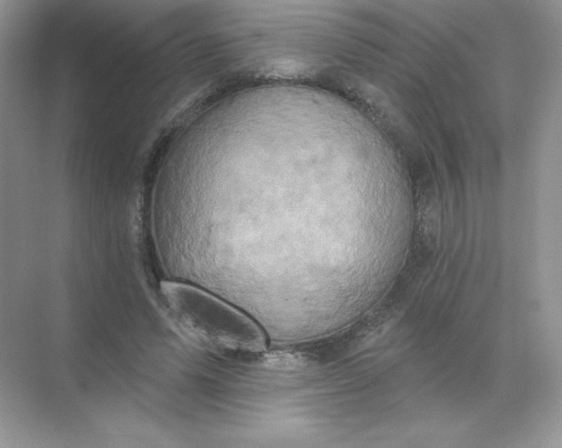 X0000071960591200607212254