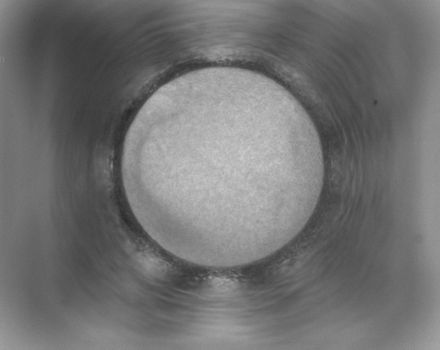 X0000071960592200607212254