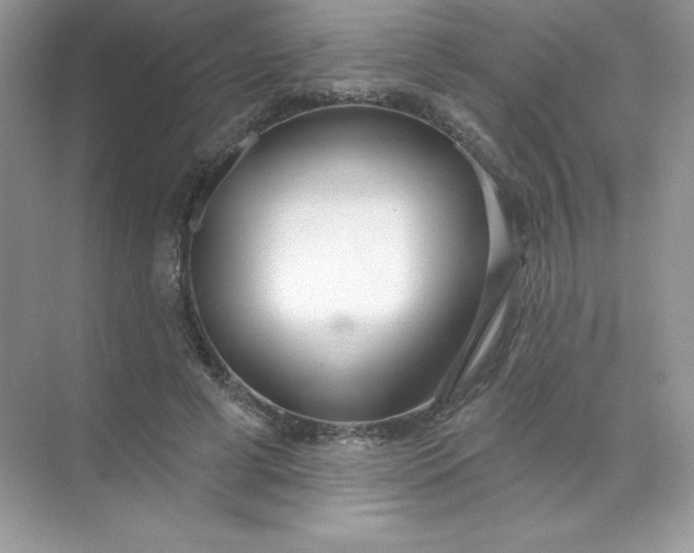 X0000071960593200607212254