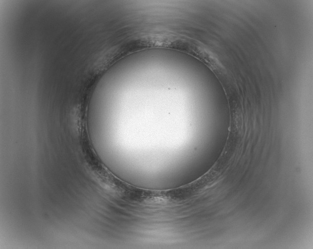 X0000071960594200607212254