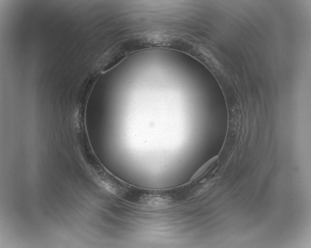 X0000071960597200607212254