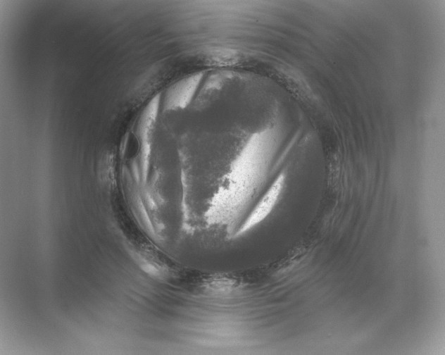 X0000071960598200607212254