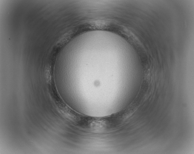 X0000071960599200607212254