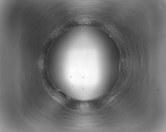 X0000071960600200607212254