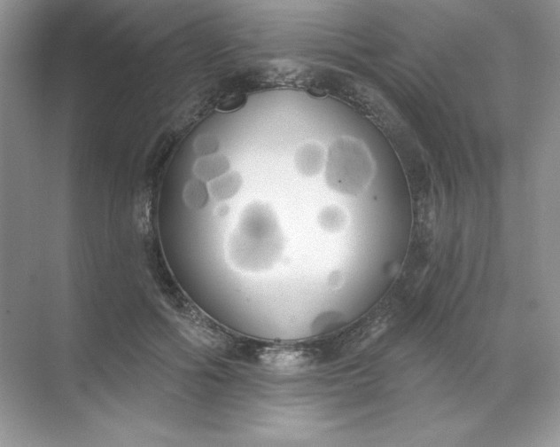 X0000071960602200607212254