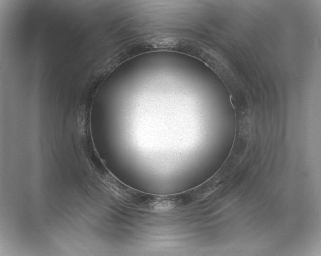 X0000071960604200607212254