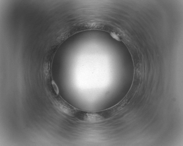 X0000071960605200607212254