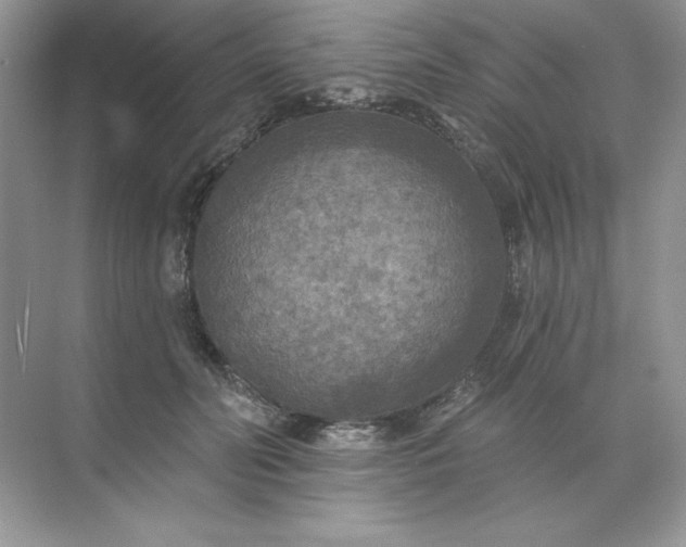 X0000071960606200607212254