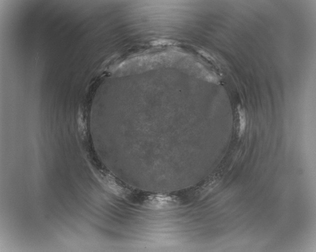 X0000071960607200607212254