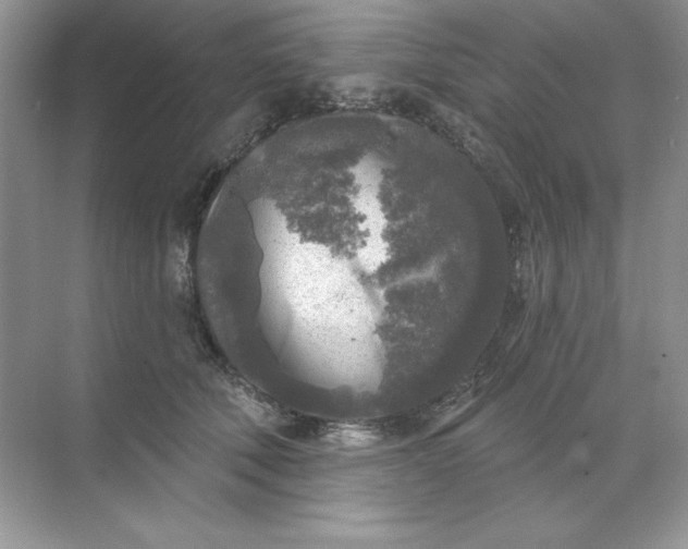 X0000071960610200607212254