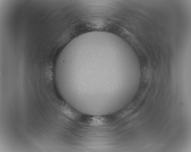 X0000071960612200607212254