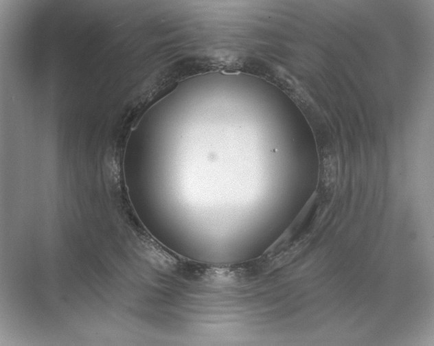 X0000071960613200607212254