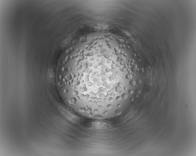 X0000071960614200607212254