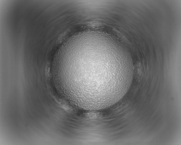 X0000071960615200607212254