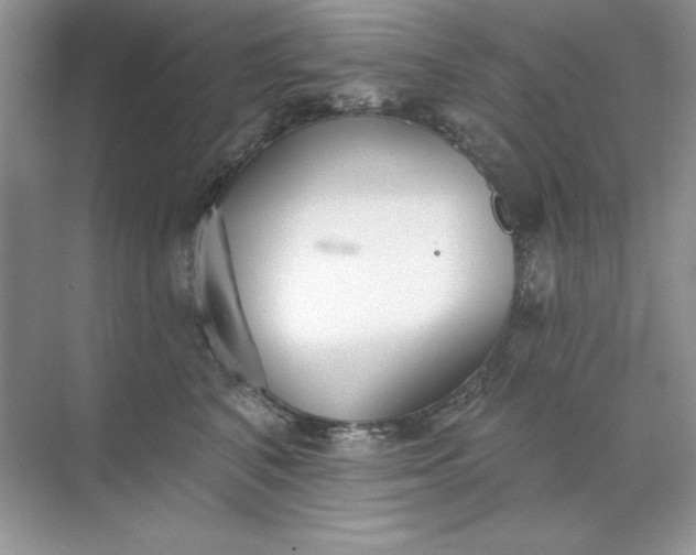 X0000071960616200607212254