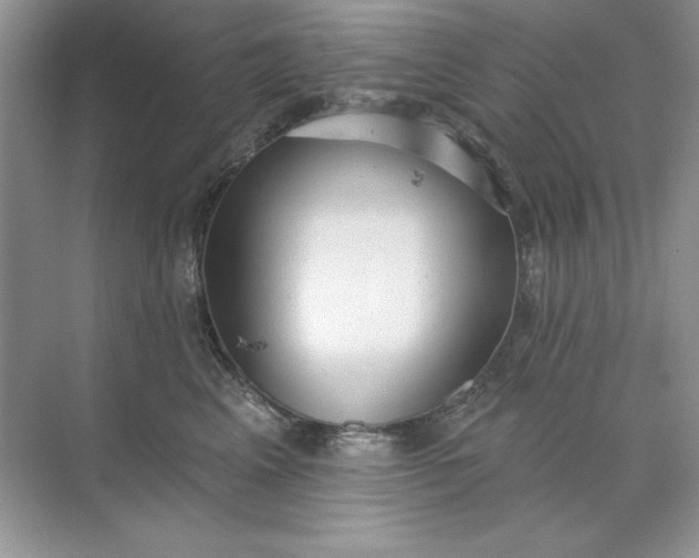 X0000071960617200607212254