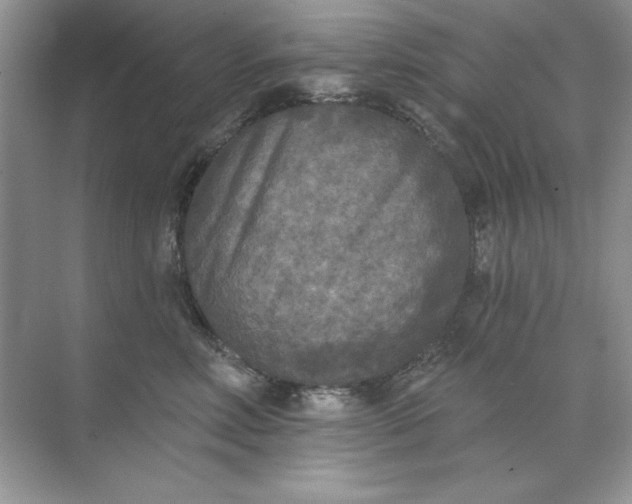 X0000071960618200607212254