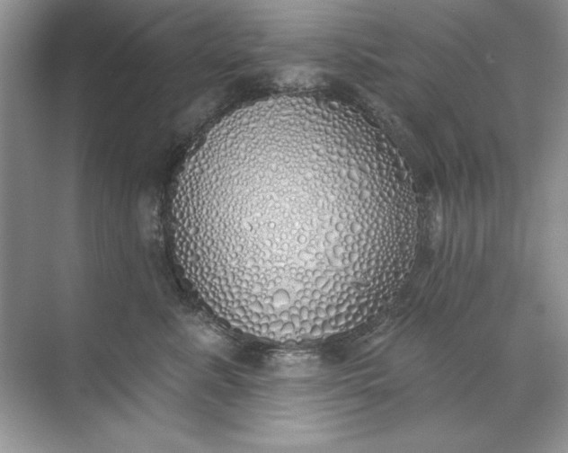 X0000071960619200607212254