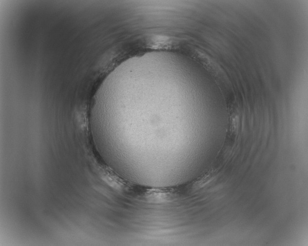 X0000071960620200607212254