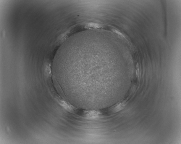 X0000071960621200607212254