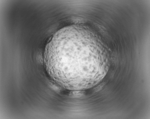 X0000071960622200607212254