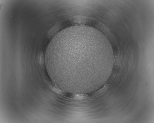 X0000071960623200607212254