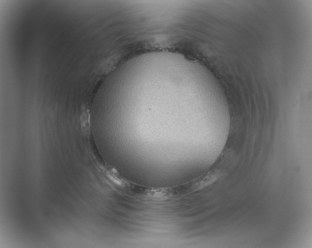 X0000071960624200607212254