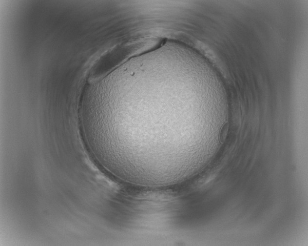 X0000071960625200607212253