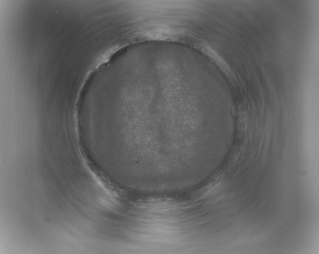 X0000071960626200607212253