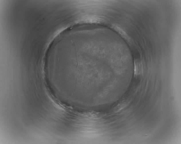 X0000071960627200607212253