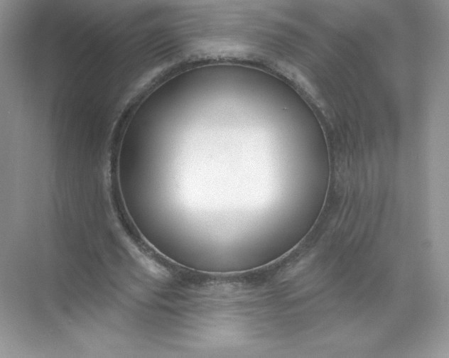 X0000071960629200607212253