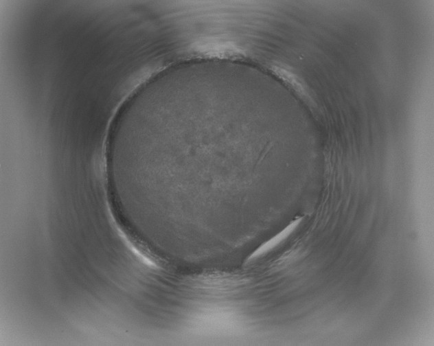 X0000071960630200607212253