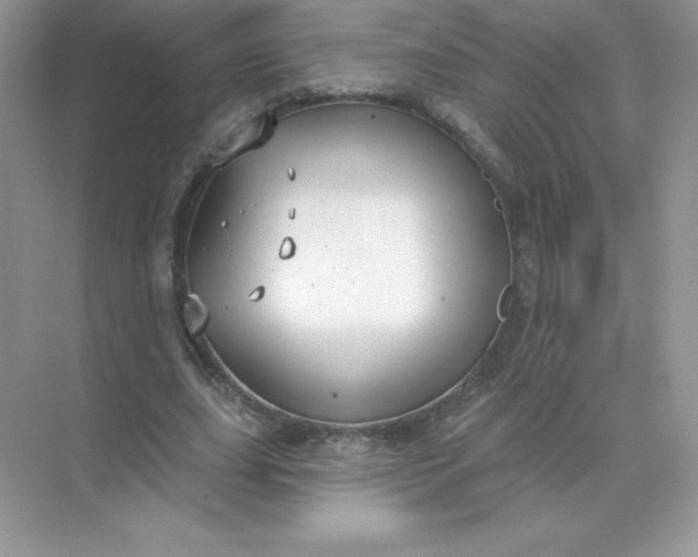 X0000071960631200607212253