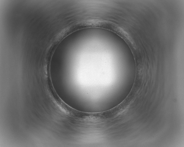 X0000071960633200607212253