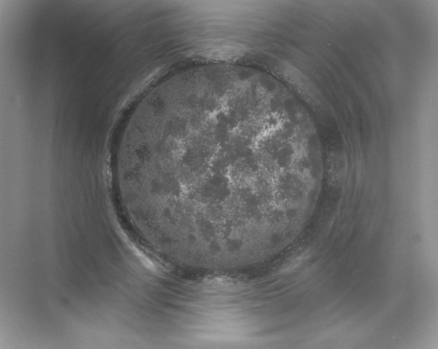 X0000071960634200607212253