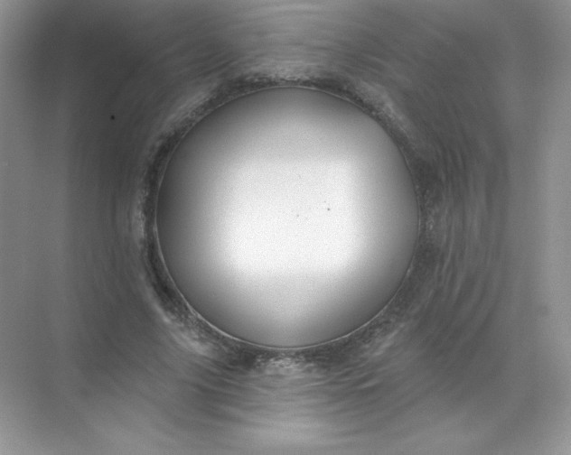 X0000071960635200607212253