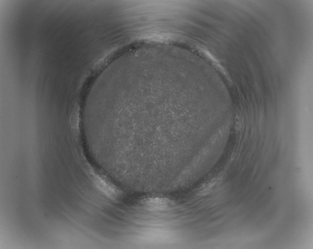 X0000071960637200607212253