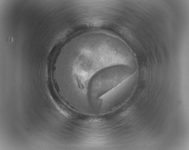 X0000071960638200607212253