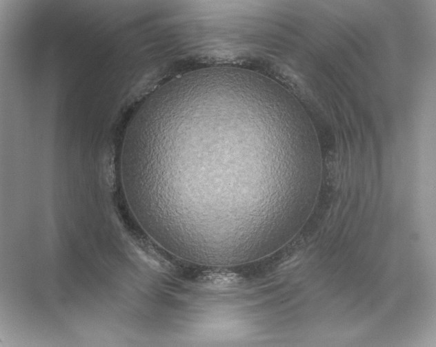 X0000071960642200607212253