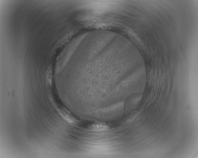 X0000071960644200607212253