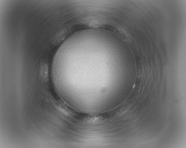 X0000071960646200607212253