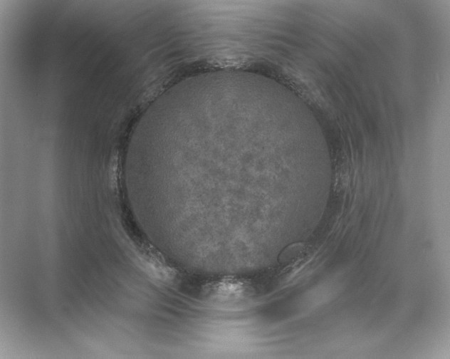 X0000071960647200607212253