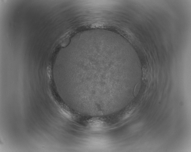 X0000071960648200607212253