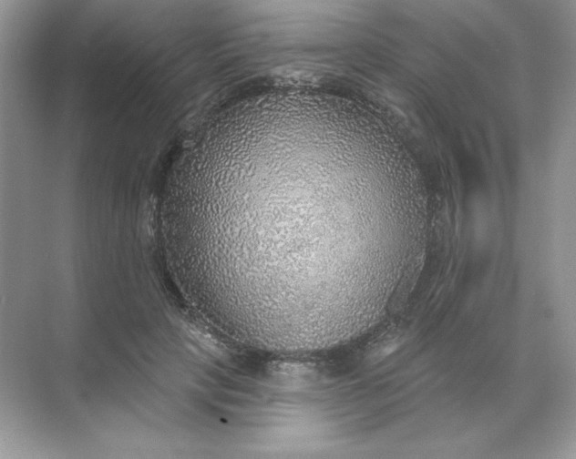 X0000071960649200607212253