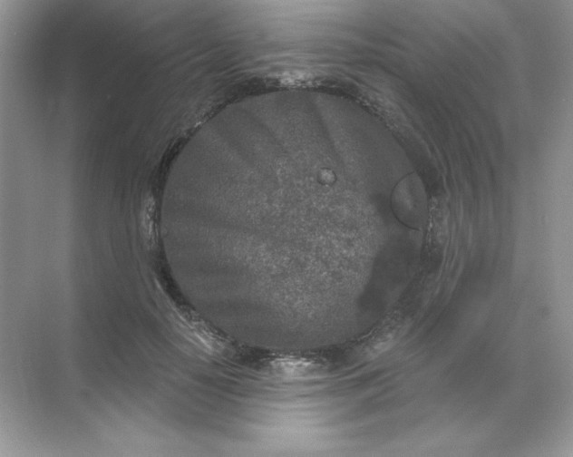 X0000071960650200607212253