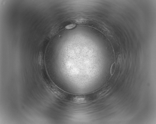 X0000071960651200607212253