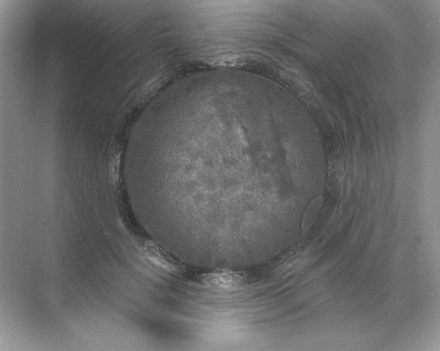 X0000071960652200607212253