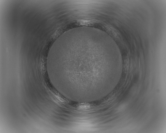 X0000071960653200607212253