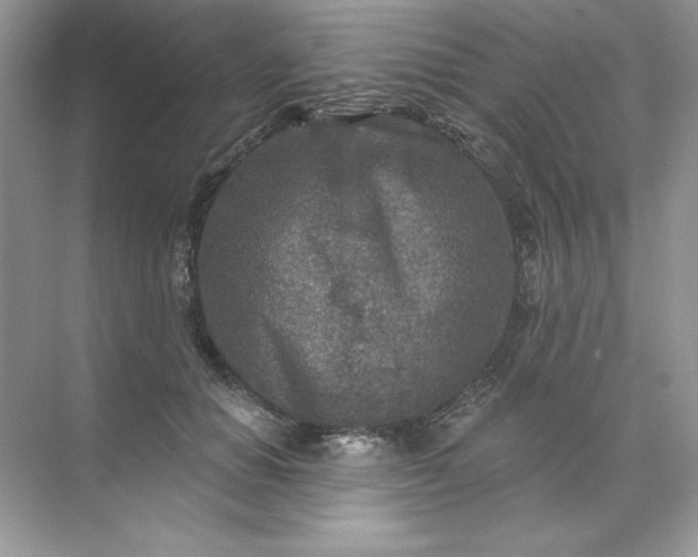 X0000071960654200607212253